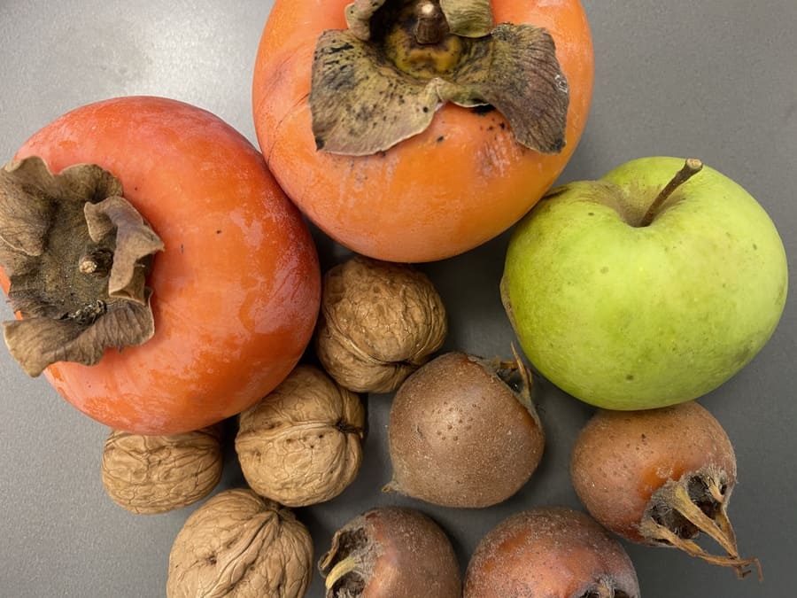 Frutta di stagione autunno