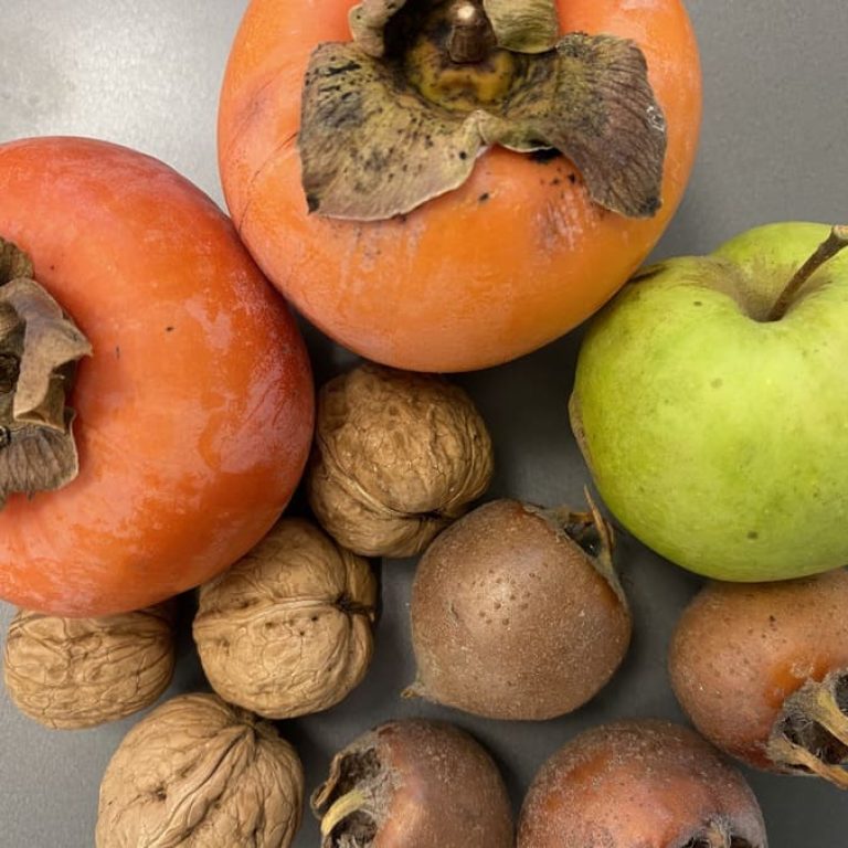 Frutta di stagione autunno